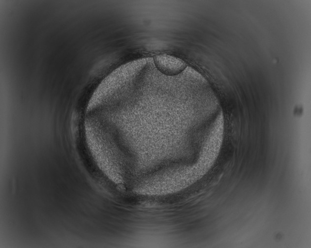 X0000102830742200809081154