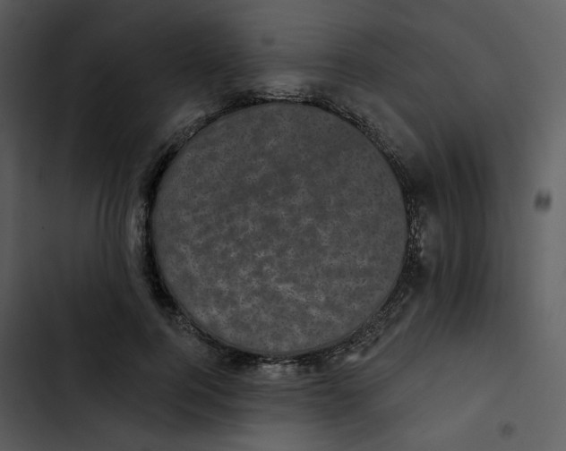 X0000102830744200809081155