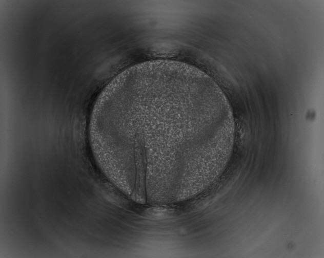 X0000102830745200809081155