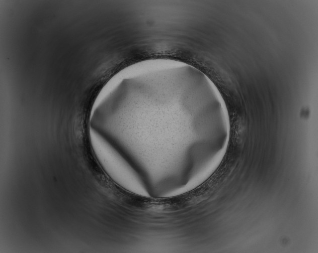 X0000102830746200809081155