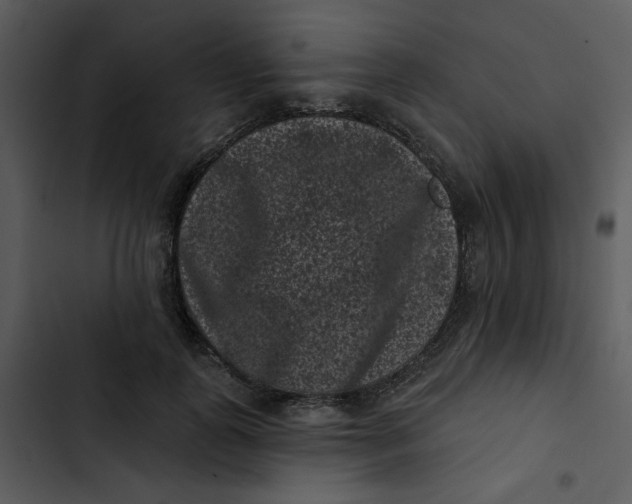 X0000102830747200809081155