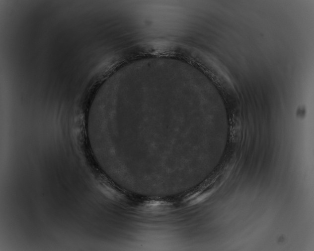 X0000102830748200809081155
