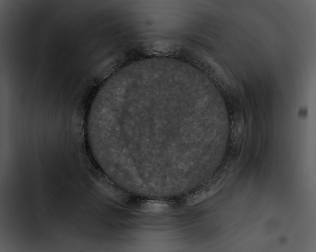 X0000102830749200809081155