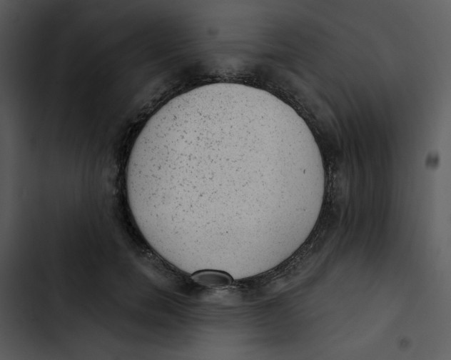 X0000102830750200809081155