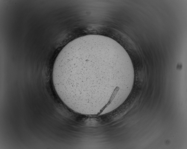 X0000102830751200809081155