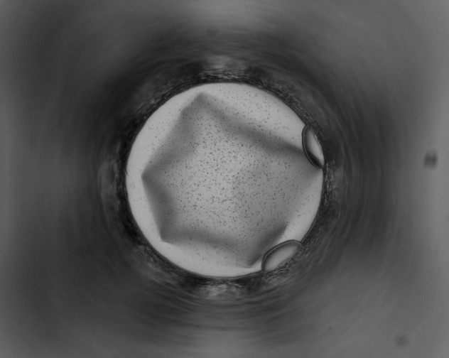 X0000102830752200809081155