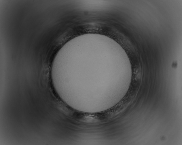 X0000102830753200809081155