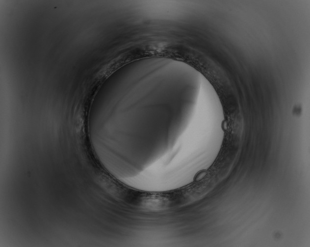 X0000102830754200809081155