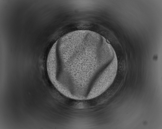 X0000102830755200809081155