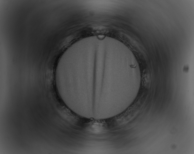 X0000102830756200809081155