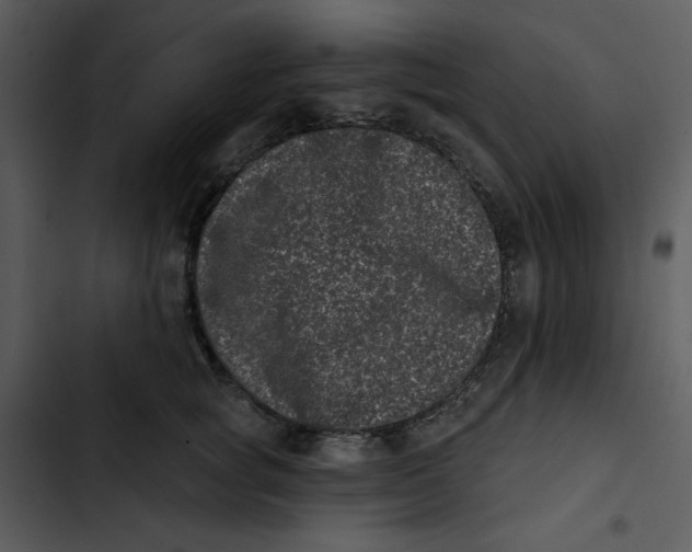 X0000102830757200809081155