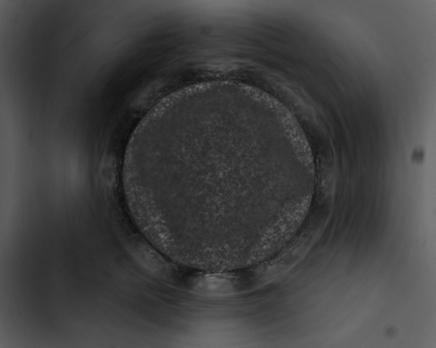 X0000102830758200809081155