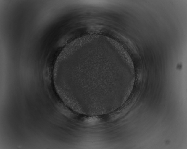 X0000102830759200809081155