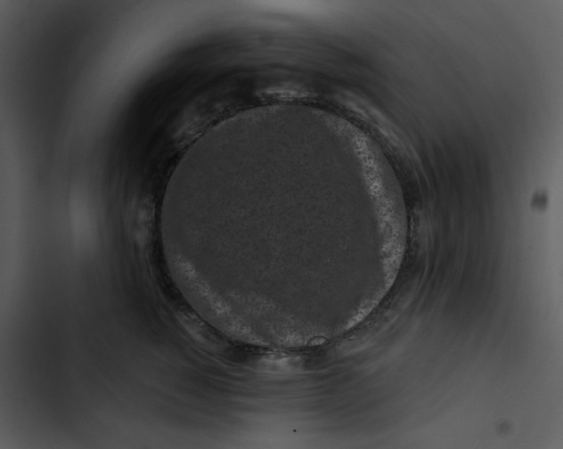 X0000102830760200809081155