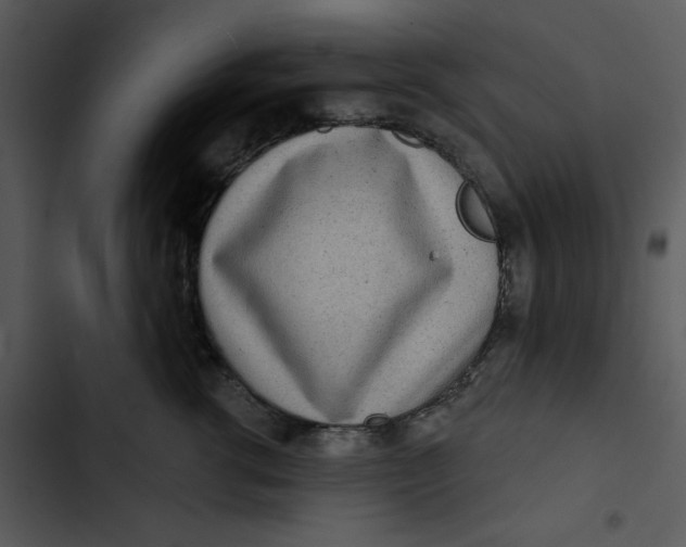 X0000102830762200809081155