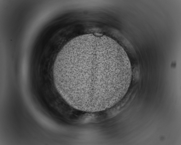 X0000102830764200809081155