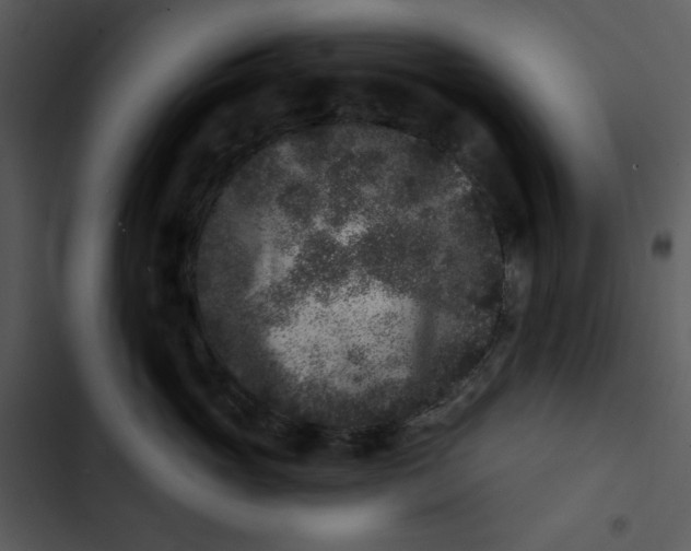 X0000102830765200809081155