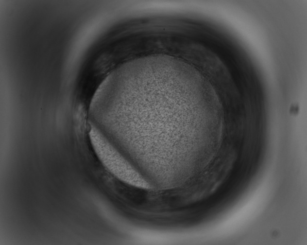 X0000102830766200809081155