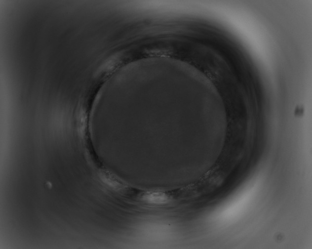 X0000102830767200809081155