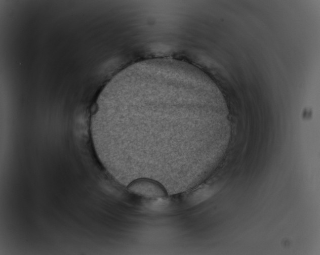 X0000102830768200809081155