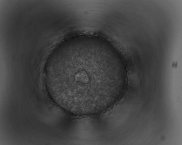 X0000102830769200809081154