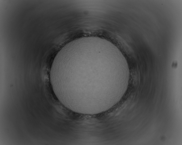 X0000102830770200809081154