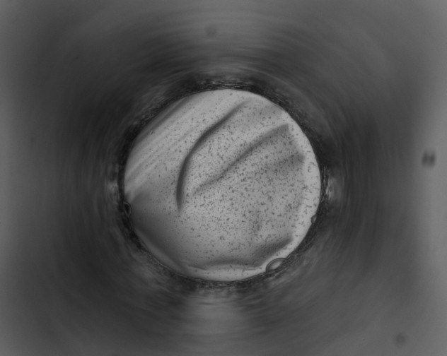 X0000102830771200809081154