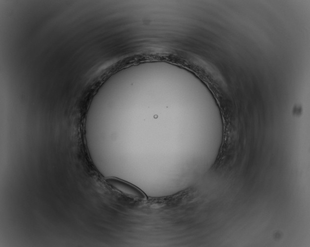 X0000102830773200809081154