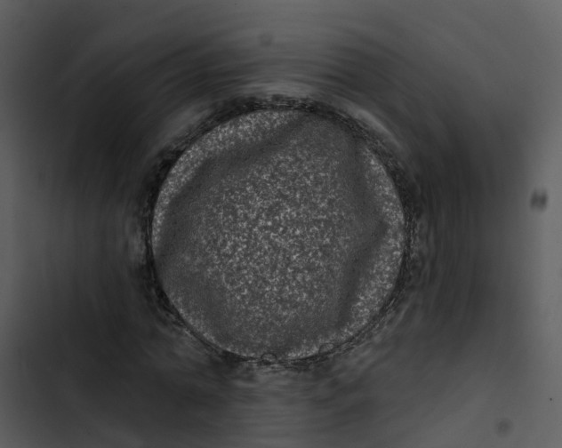 X0000102830774200809081154