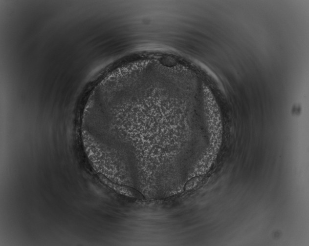 X0000102830775200809081154