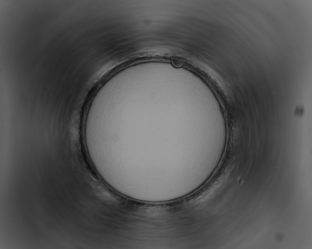 X0000102830778200809081154