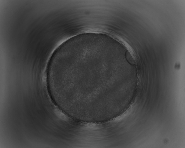 X0000102830779200809081154