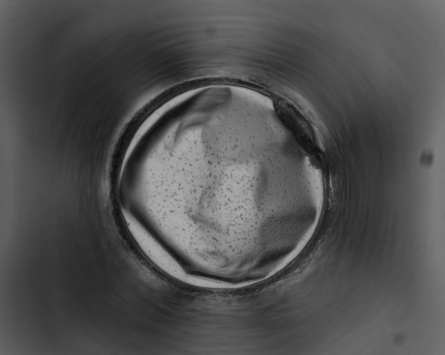 X0000102830780200809081154