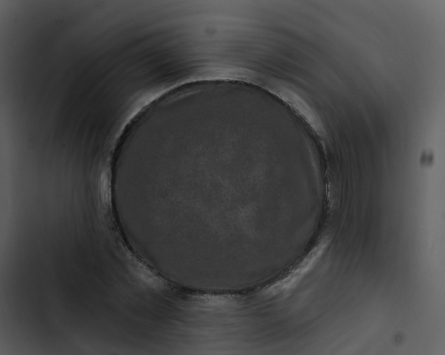 X0000102830781200809081154