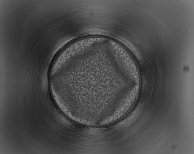 X0000102830782200809081154