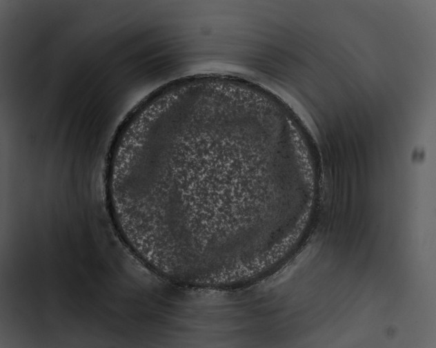 X0000102830783200809081154