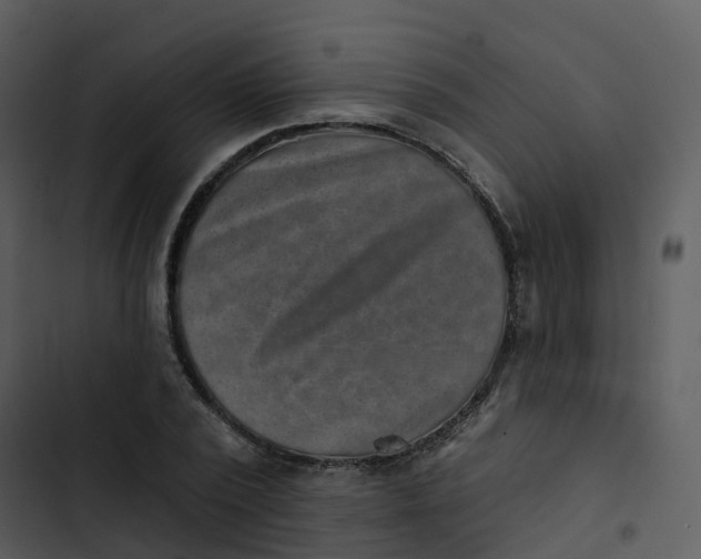 X0000102830784200809081154