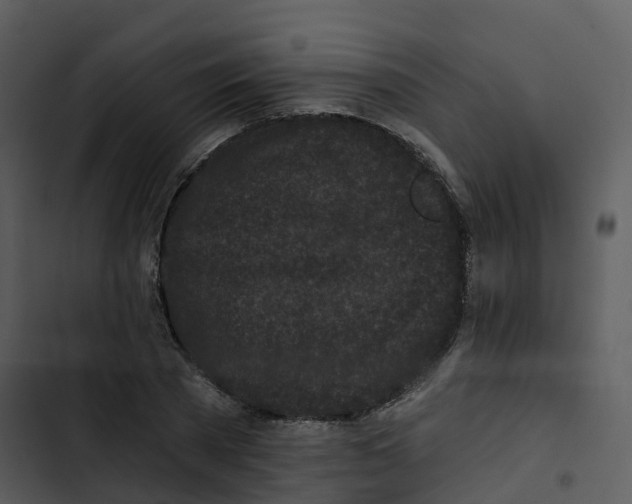 X0000102830785200809081154