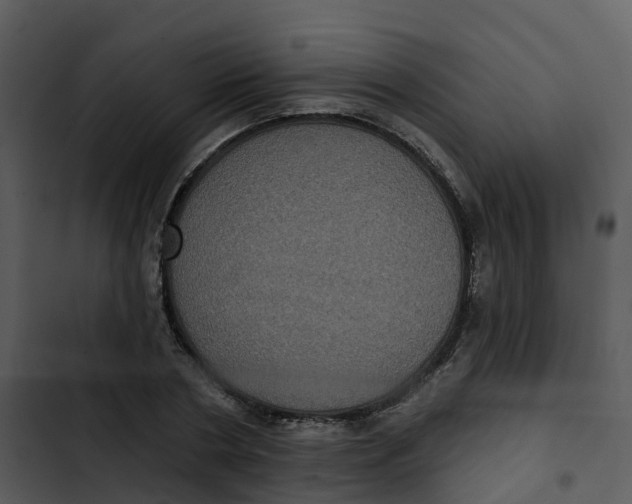 X0000102830786200809081154