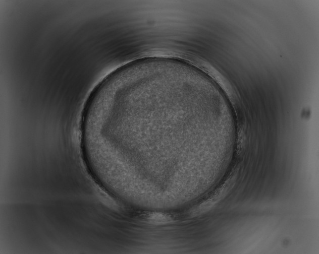 X0000102830787200809081154