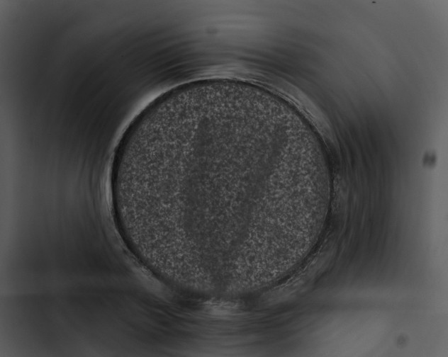 X0000102830788200809081154