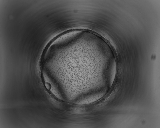 X0000102830789200809081154