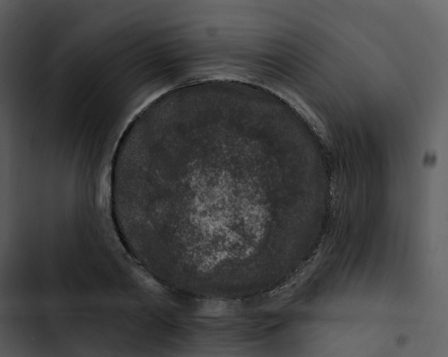 X0000102830790200809081154