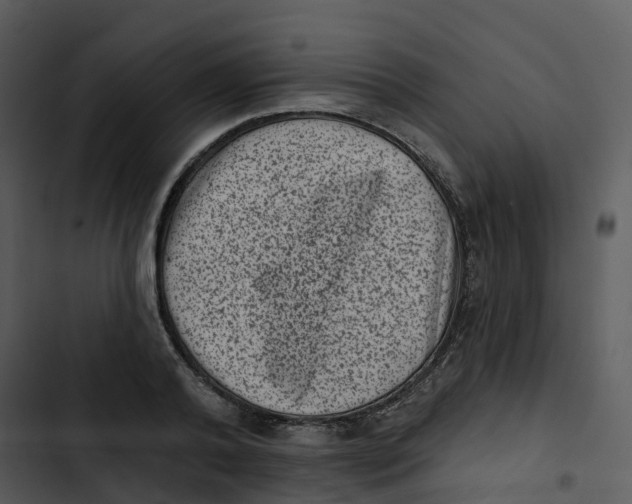 X0000102830792200809081154