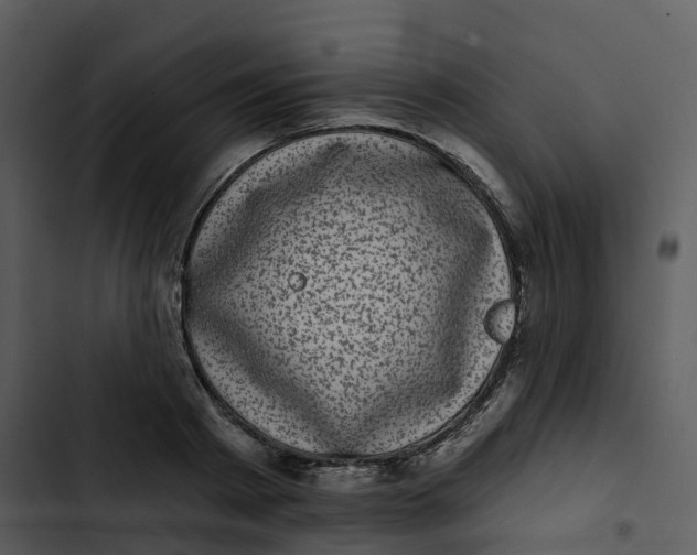 X0000102830793200809081154