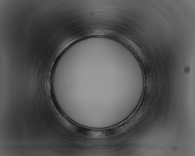 X0000102830794200809081154