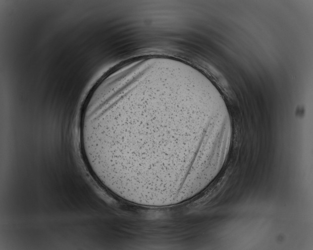 X0000102830796200809081154