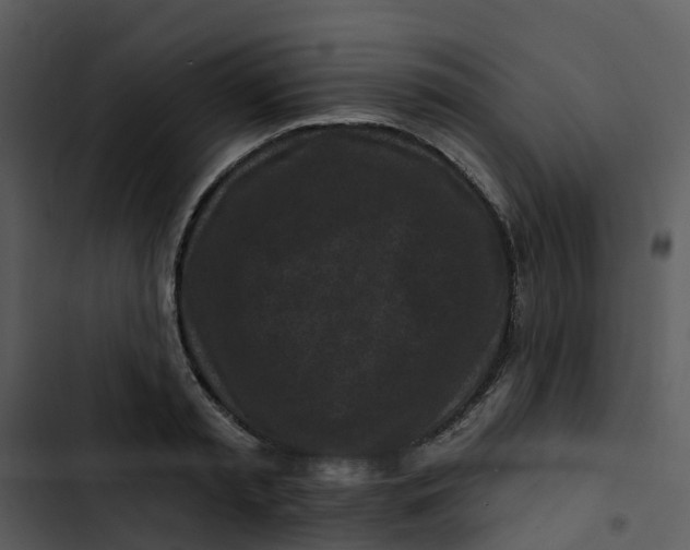 X0000102830797200809081154