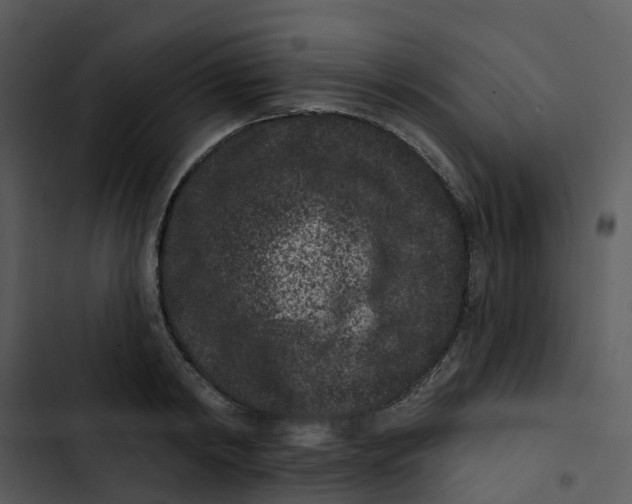 X0000102830798200809081154