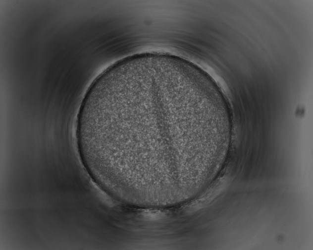 X0000102830799200809081154